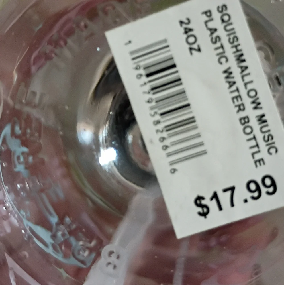 Squishmallows 24oz clear